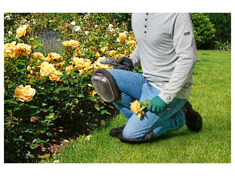Tuinier knielend, met kniebeschermers en handschoenen, gele rozen snoeiend.