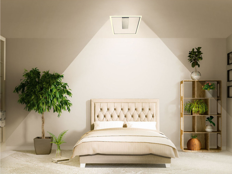 Ga naar volledige schermweergave: LIVARNO home Ledplafondlamp - afbeelding 8