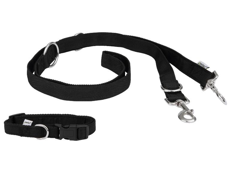 Ensemble Zoofari pour chien : collier et double laisse