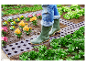Légumes, fleurs et bottes en caoutchouc dans un jardin.