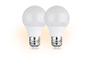Twee witte LED-lampen met schroefdraad.