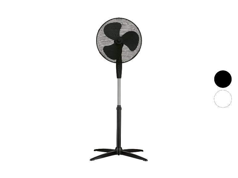 Zwarte staande ventilator met ronde kop en kruisvormige voet
