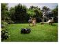 Tondeuse robot sur une pelouse avec une famille et un chien en arrière-plan.