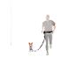 Homme courant avec un chien en laisse attachée à une ceinture de course.