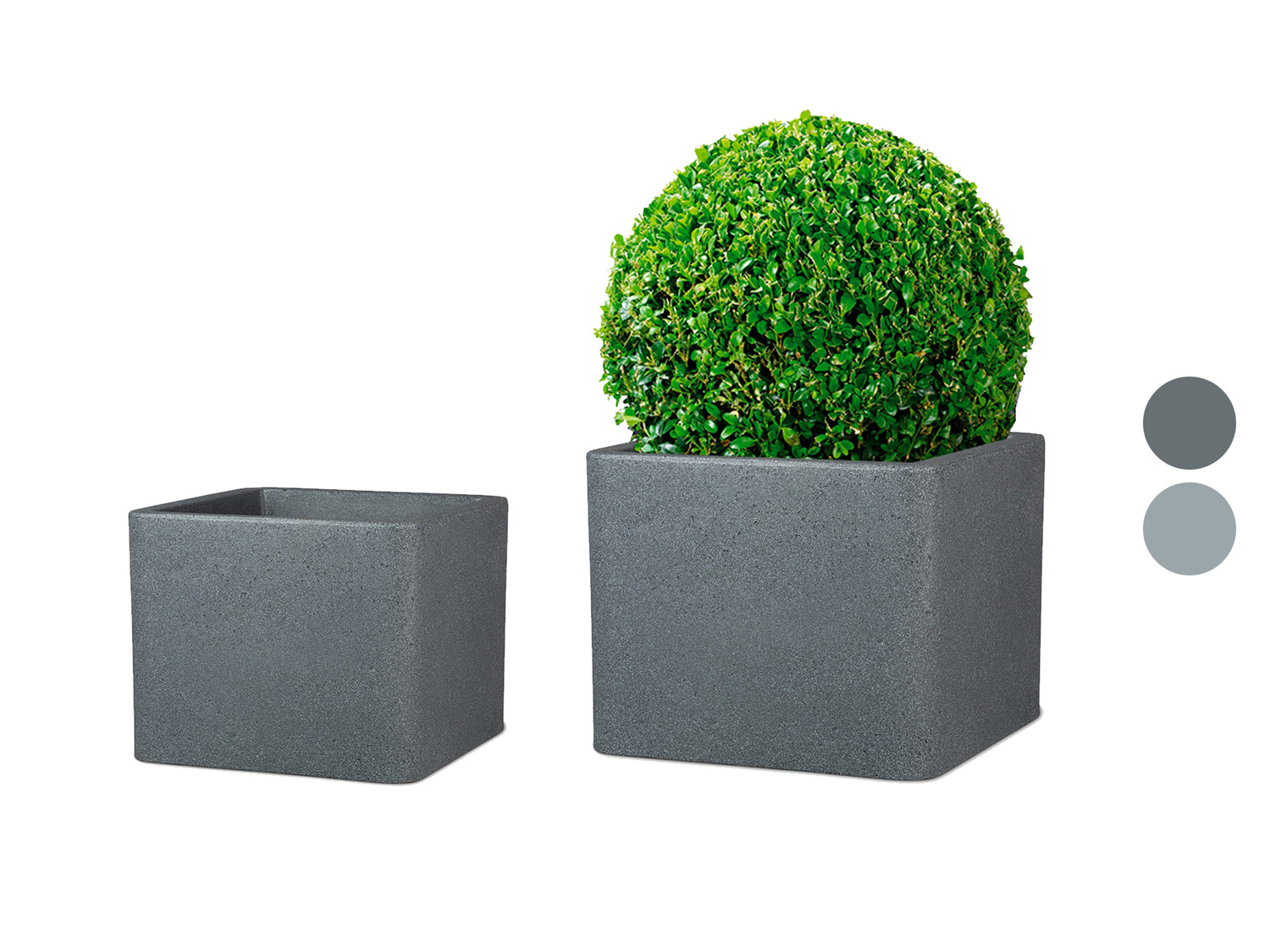 Jardiniere De Terrasse Lidl