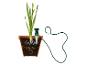 Plant in pot met automatisch irrigatiesysteem.