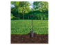 Fiskars schop in groen gras.