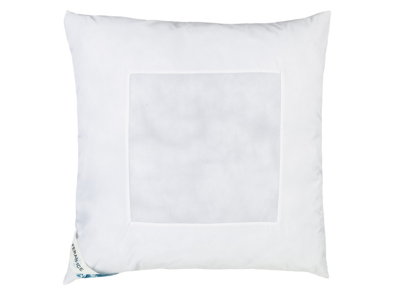 Ga naar volledige schermweergave: LIVARNO home Hoofdkussen, 60 x 60 cm - afbeelding 1