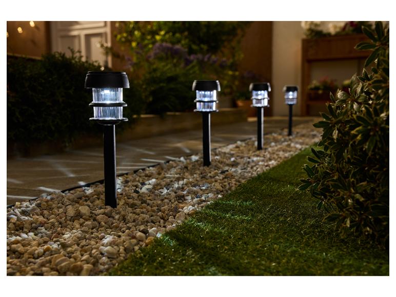 Tuinpad verlicht door solarlampen, met grind en gras.