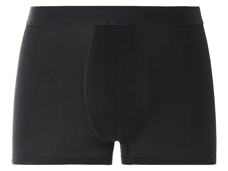 Un boxer noir.