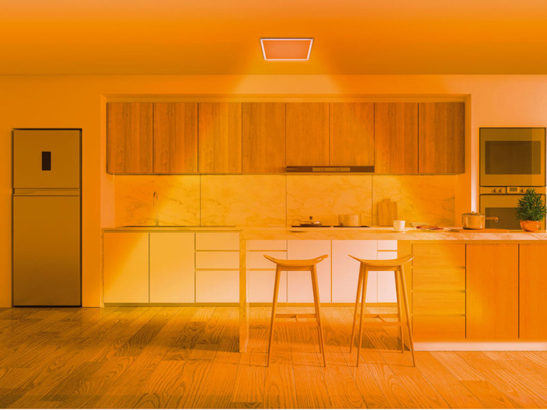 Ga naar volledige schermweergave: LIVARNO home Ledplafondlamp - afbeelding 9