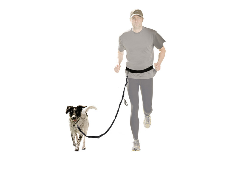 Ga naar volledige schermweergave: zoofari® Jogginglijn, sleeplijn of fietslijn voor honden, voor honden tot 32,5 kg - afbeelding 3