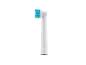 Une tête de brosse à dents électrique de rechange blanche avec des poils bleus et verts.