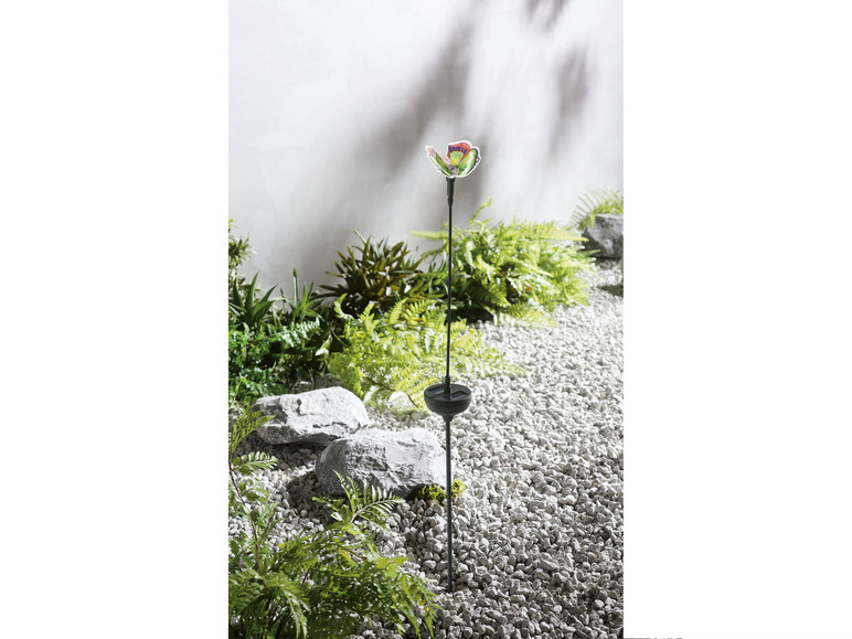 Ga naar volledige schermweergave: LIVARNO home Decoratieve solarlamp - afbeelding 9