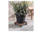 Zwarte plantenpot met plant op een houten onderstel met wielen.
