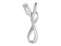 Câble USB-C vers USB blanc.