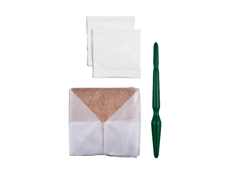 Deux sachets de graines, un comprimé de terreau et un outil de jardinage vert.