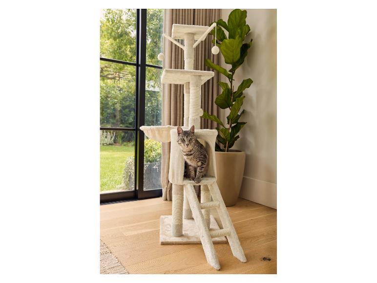 Chat perché sur un arbre à chat beige avec plateformes et échelle.