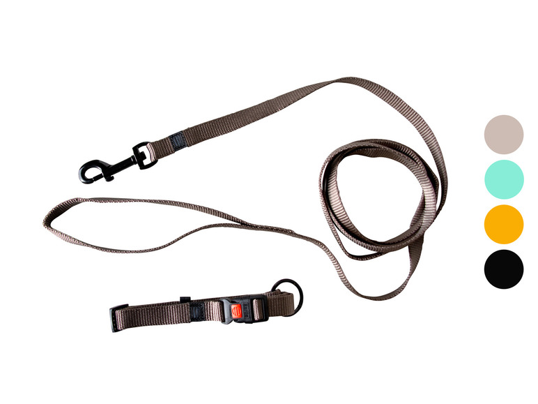 Une laisse et un collier pour chien marron avec un mousqueton noir.