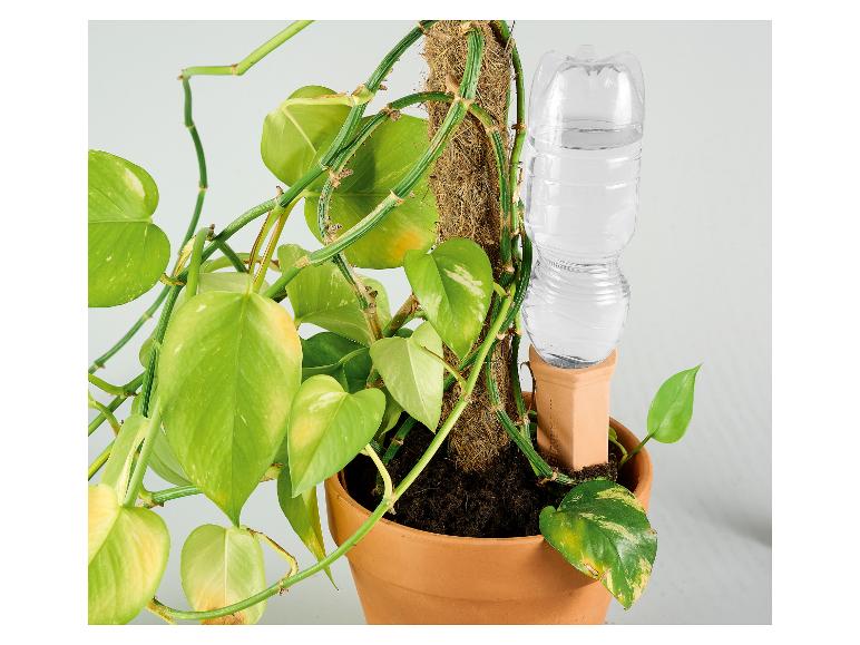 Automatisch plantenbewateringssysteem met terracotta pot en waterfles.