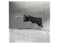 Een Parkside Performance reciprozaag met een flexibel metalen zaagblad rust op een betonnen muur.