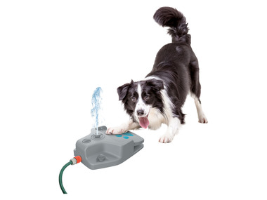 Zoofari Fontaine à eau pour chien
