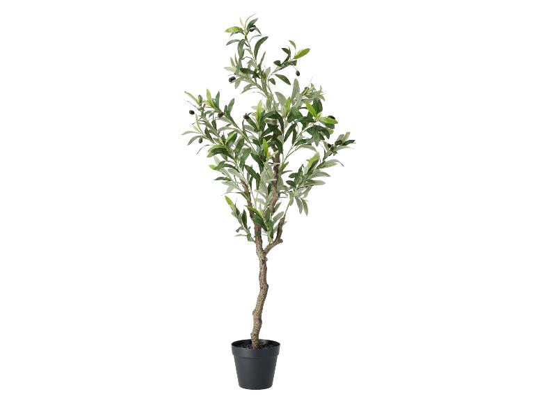 Kunstmatige olijfboom in zwarte pot.