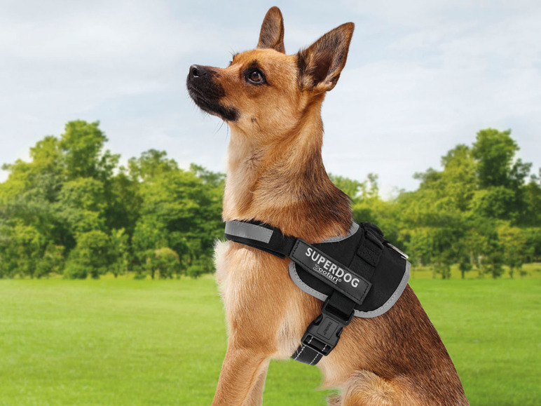 Ga naar volledige schermweergave: zoofari® Honderharnas, reflecterende elementen - afbeelding 2