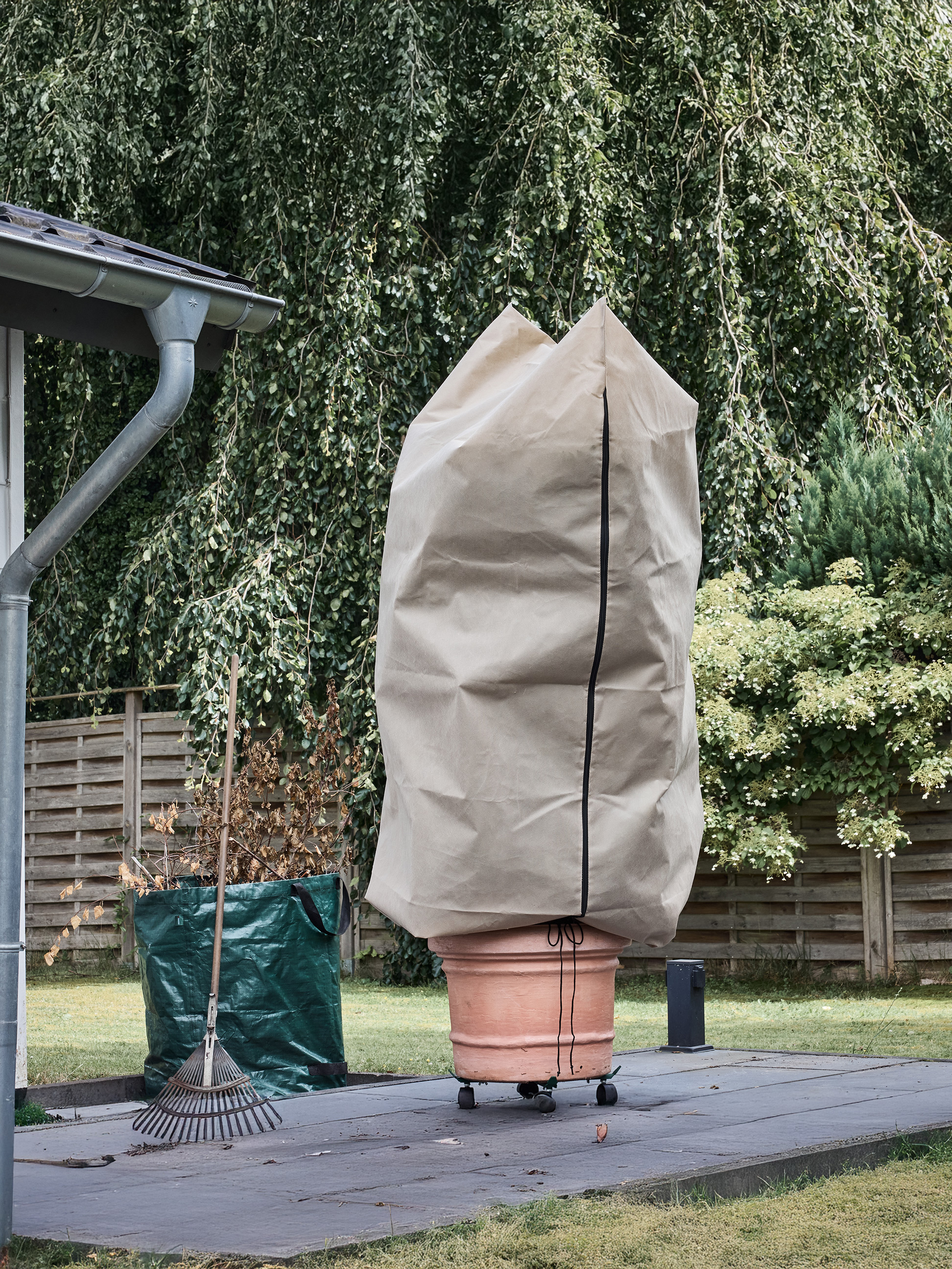 Grande plante en pot recouverte d'une housse de protection beige dans un jardin
