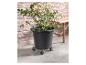 Plant in een pot met wielen bij een bamboe bankje.