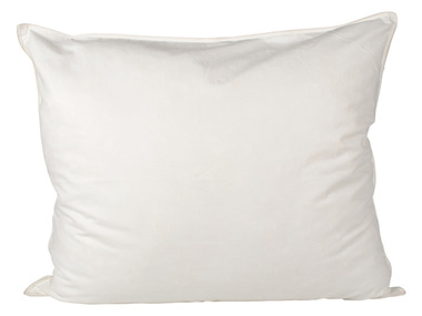 TXL Comfort Oreiller, en laine, 60 x 60 cm