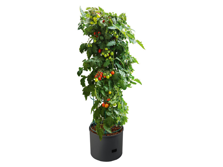 Ga naar volledige schermweergave: PARKSIDE Plantenbak voor tomaten - afbeelding 1