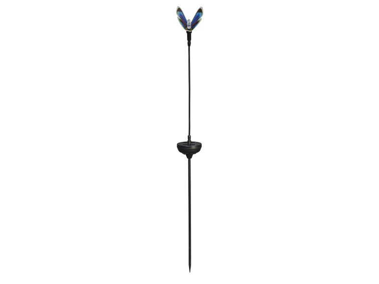 Ga naar volledige schermweergave: LIVARNO home Decoratieve solarlamp - afbeelding 2