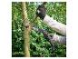Une personne utilise une scie Parkside pour couper une branche d'arbre.