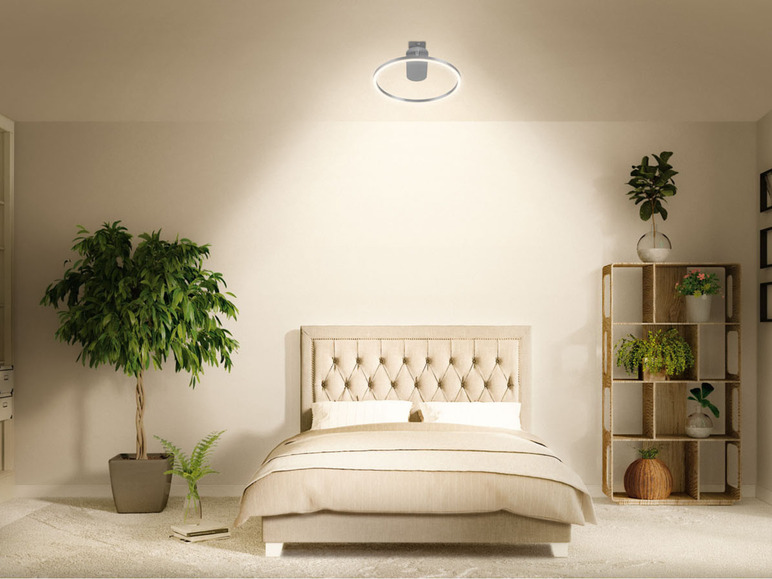 Ga naar volledige schermweergave: LIVARNO home Ledplafondlamp - afbeelding 15
