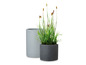 Deux pots ronds, un gris et un gris foncé, avec une plante