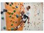 Homme en short et t-shirt de sport escaladant un mur d'escalade.