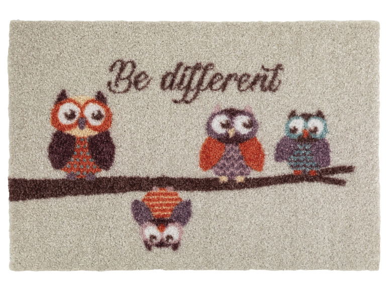Ga naar volledige schermweergave: LIVARNO home Deurmat, 40 x 60 cm - afbeelding 5