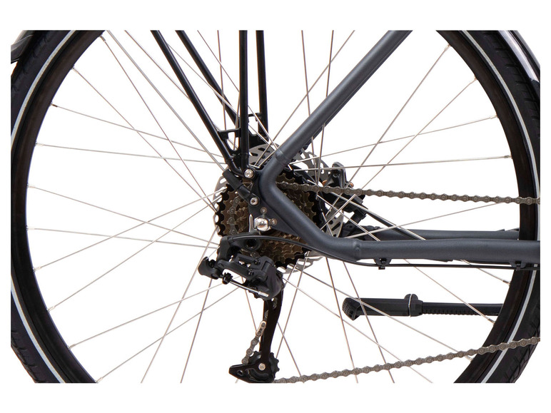 Ga naar volledige schermweergave: Colorado Elektrische fiets trekking, achterwielmotor - afbeelding 6