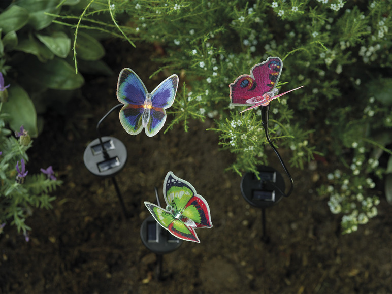 Ga naar volledige schermweergave: LIVARNO home Decoratieve solarlamp - afbeelding 16
