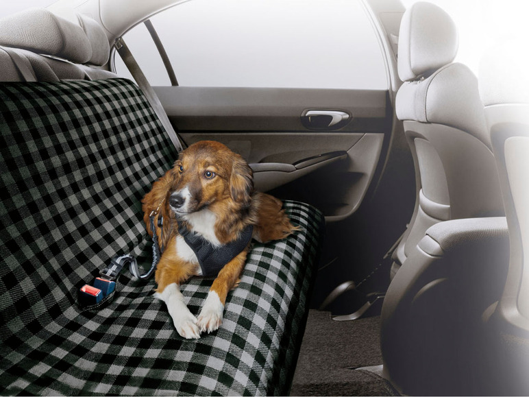 Aller en mode plein écran zoofari® Housse de protection pour voiture ou tapis pour animaux domestiques - Photo 3