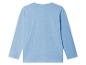 Lichtblauw longsleeve shirt voor kinderen.