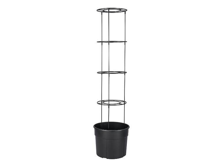 Tuteur noir avec pot pour plantes grimpantes