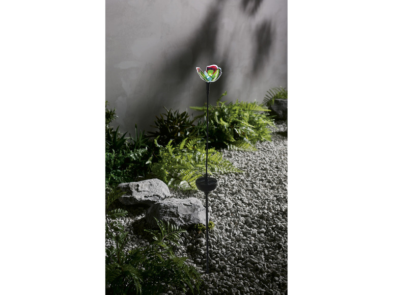 Ga naar volledige schermweergave: LIVARNO home Decoratieve solarlamp - afbeelding 10