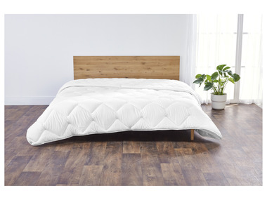 LIVARNO home Vierseizoenendekbed, 260 x 240 cm