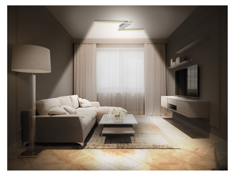 Ga naar volledige schermweergave: LIVARNO home Ledplafondlamp - afbeelding 10