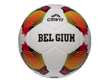 CRIVIT Ballon de football - Coupe du Monde