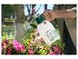 Homme arrosant des fleurs roses avec un pulvérisateur Parkside