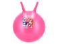 Roze Paw Patrol springbal met Everest en Skye