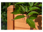 Een houten plantenbak met groene planten.
